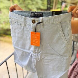 American Eagle Outfitters Light Blue Flat Front Men Shorts